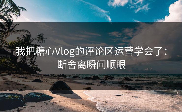 我把糖心Vlog的评论区运营学会了：断舍离瞬间顺眼