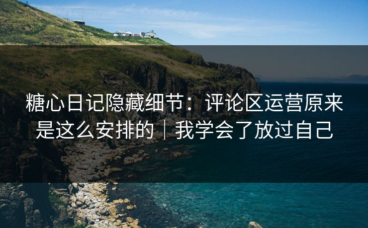 糖心日记隐藏细节：评论区运营原来是这么安排的｜我学会了放过自己