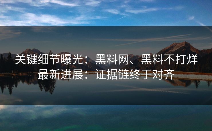 关键细节曝光：黑料网、黑料不打烊最新进展：证据链终于对齐