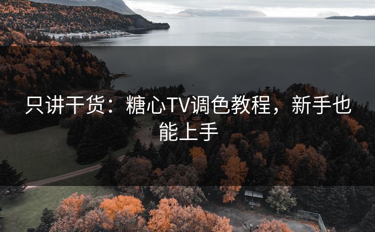 只讲干货：糖心TV调色教程，新手也能上手