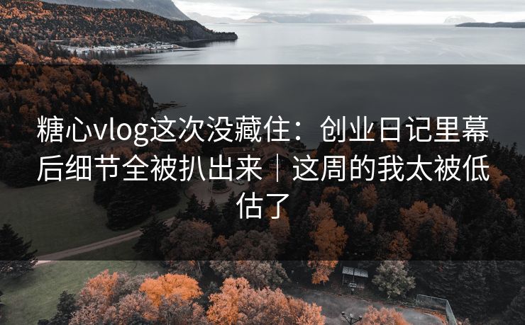 糖心vlog这次没藏住：创业日记里幕后细节全被扒出来｜这周的我太被低估了