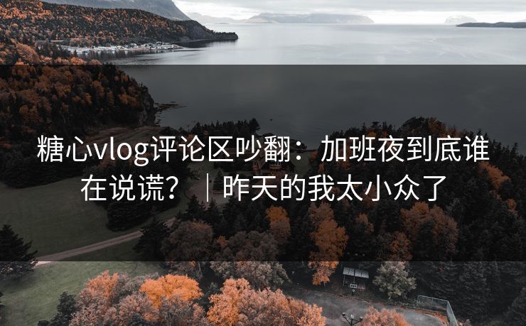 糖心vlog评论区吵翻：加班夜到底谁在说谎？｜昨天的我太小众了