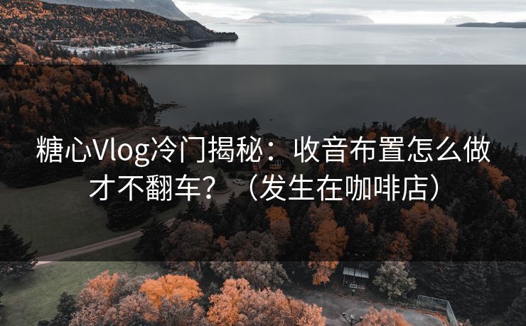 糖心Vlog冷门揭秘：收音布置怎么做才不翻车？（发生在咖啡店）