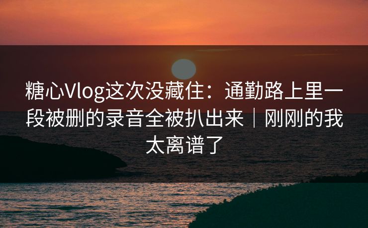糖心Vlog这次没藏住：通勤路上里一段被删的录音全被扒出来｜刚刚的我太离谱了