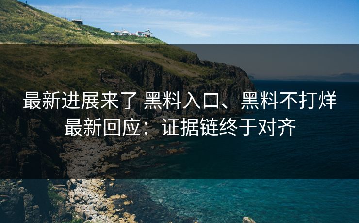 最新进展来了 黑料入口、黑料不打烊最新回应：证据链终于对齐