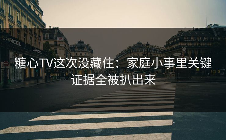 糖心TV这次没藏住：家庭小事里关键证据全被扒出来