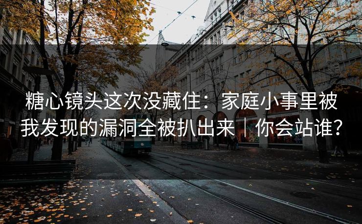 糖心镜头这次没藏住：家庭小事里被我发现的漏洞全被扒出来｜你会站谁？