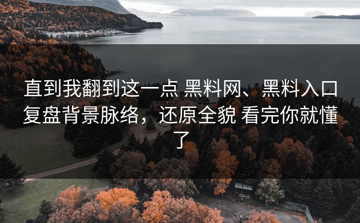 直到我翻到这一点 黑料网、黑料入口复盘背景脉络，还原全貌 看完你就懂了