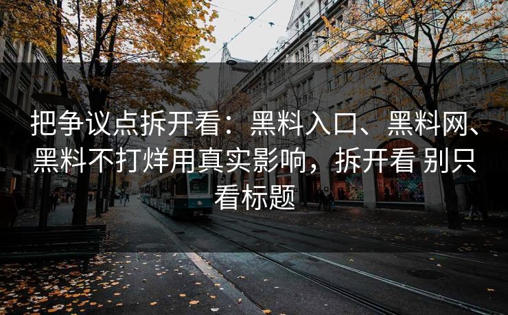 把争议点拆开看：黑料入口、黑料网、黑料不打烊用真实影响，拆开看 别只看标题