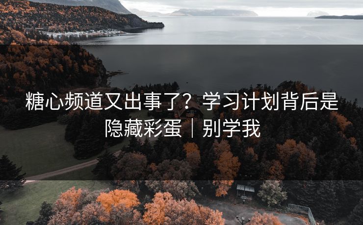 糖心频道又出事了？学习计划背后是隐藏彩蛋｜别学我