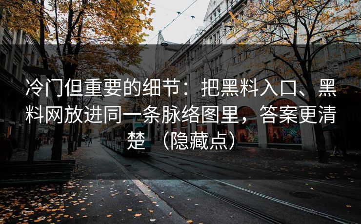 冷门但重要的细节：把黑料入口、黑料网放进同一条脉络图里，答案更清楚 （隐藏点）