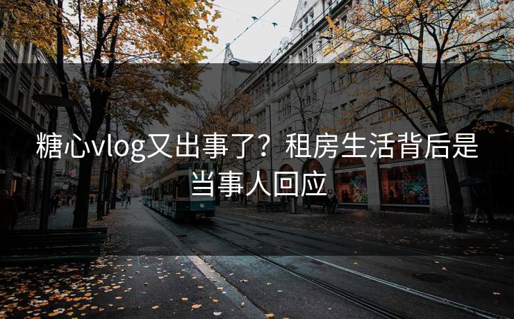 糖心vlog又出事了？租房生活背后是当事人回应